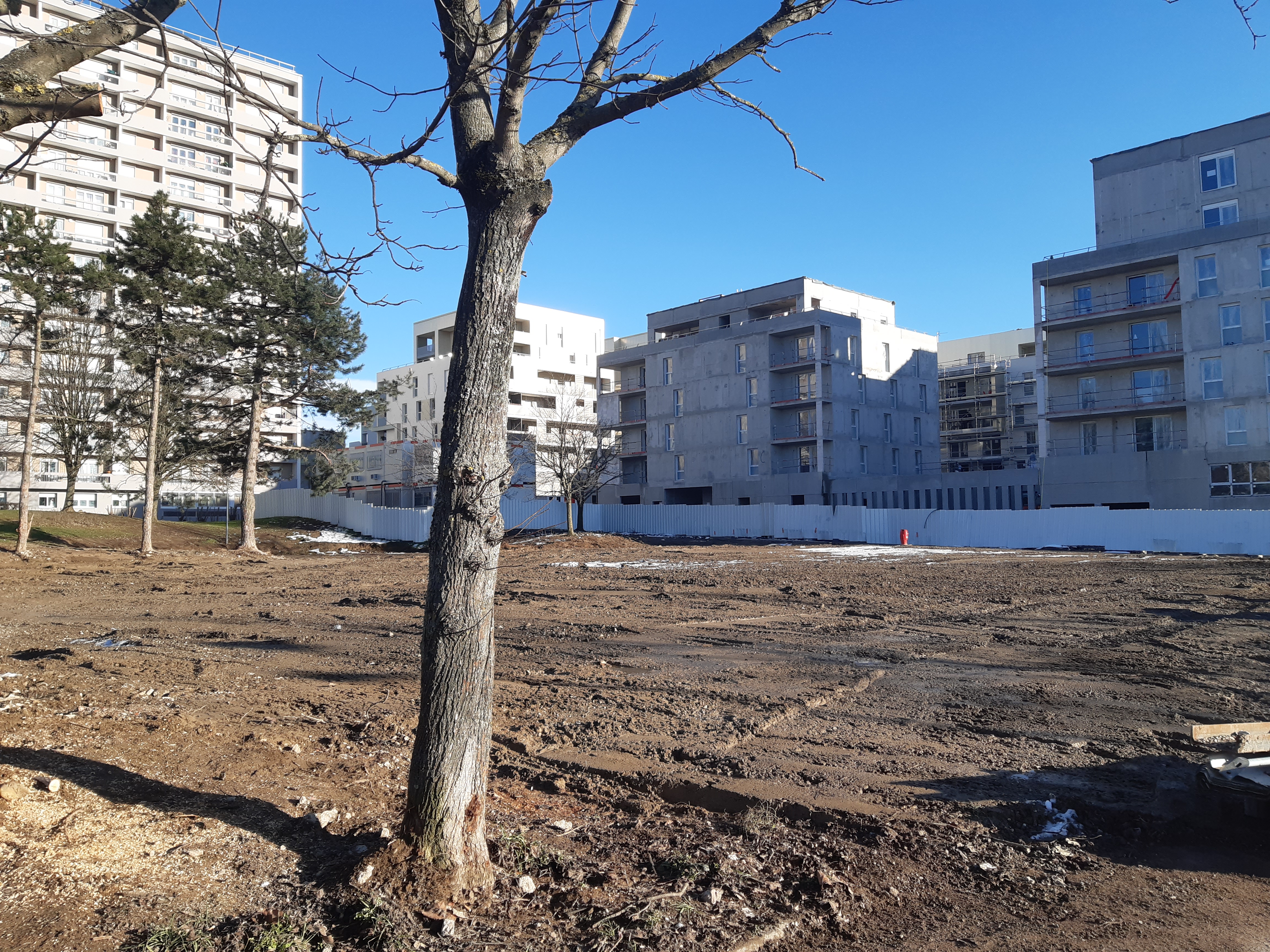 Place vide de la Tour 7 Bottet